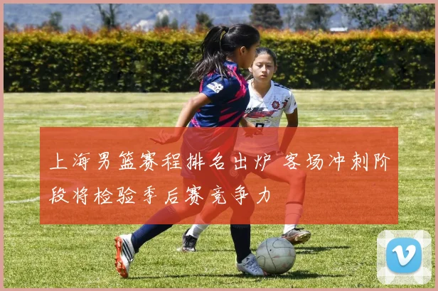 上海男篮赛程排名出炉 客场冲刺阶段将检验季后赛竞争力