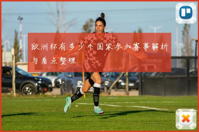 欧洲杯有多少个国家参加赛事解析与看点整理