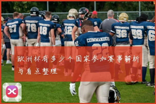 欧洲杯有多少个国家参加赛事解析与看点整理